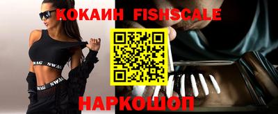 крисы Коммунар