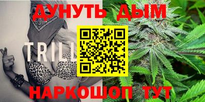крисы Коммунар