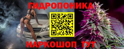 крисы Коммунар