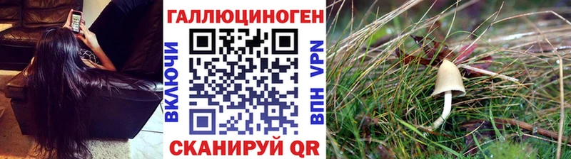 Псилоцибиновые грибы ЛСД ОМГ ОМГ Сибай