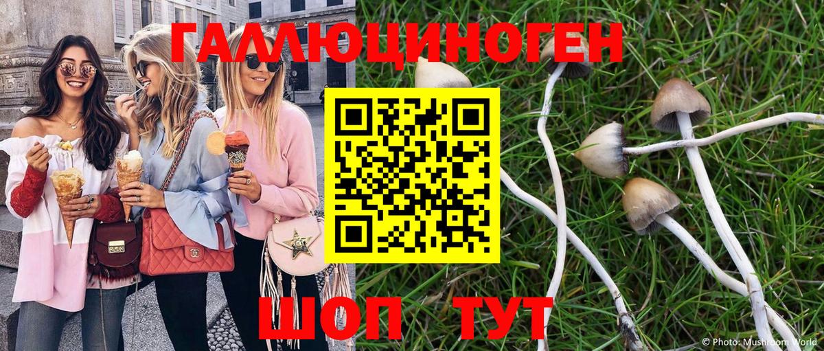 Галлюциногенные грибы Cubensis  Вход с VPN  Псилоцибиновые грибы MAGIC MUSHROOMS  Сибай 